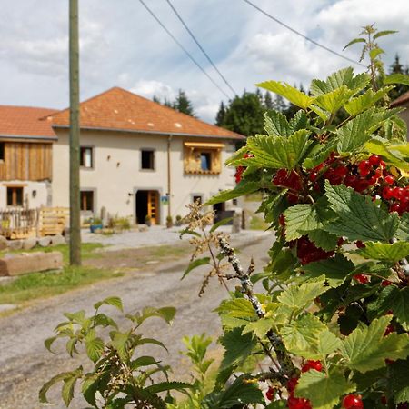 La Ferme De Jean Entre Lacs Et Montagnes Saulxures-sur-Moselotte Dış mekan fotoğraf