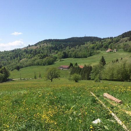 La Ferme De Jean Entre Lacs Et Montagnes Saulxures-sur-Moselotte Dış mekan fotoğraf