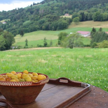 La Ferme De Jean Entre Lacs Et Montagnes Saulxures-sur-Moselotte Dış mekan fotoğraf