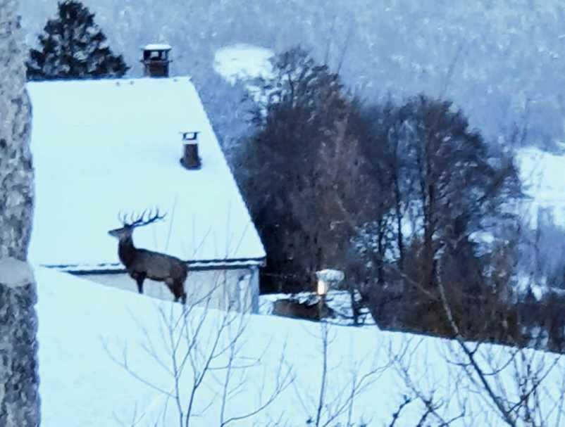 La Ferme De Jean Entre Lacs Et Montagnes Saulxures-sur-Moselotte Dış mekan fotoğraf