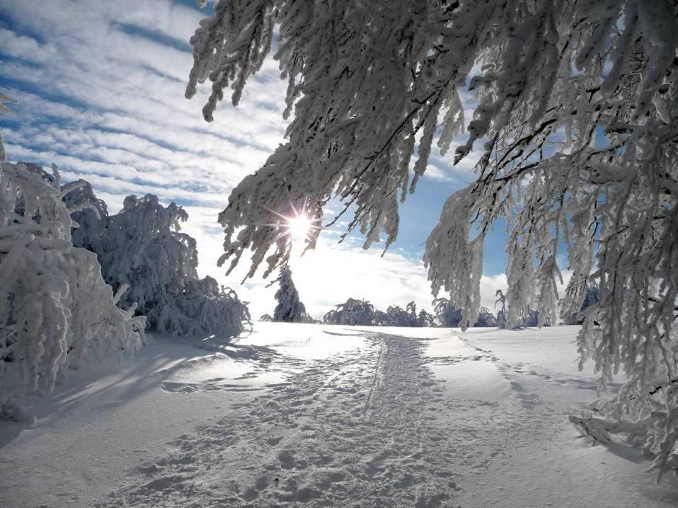 La Ferme De Jean Entre Lacs Et Montagnes Saulxures-sur-Moselotte Dış mekan fotoğraf