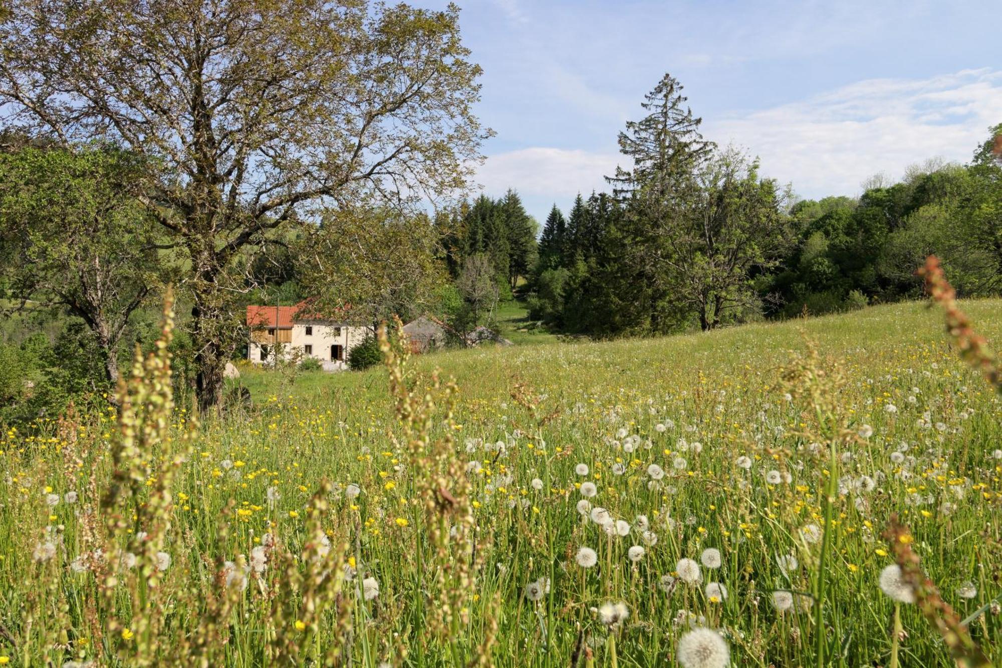 La Ferme De Jean Entre Lacs Et Montagnes Saulxures-sur-Moselotte Dış mekan fotoğraf