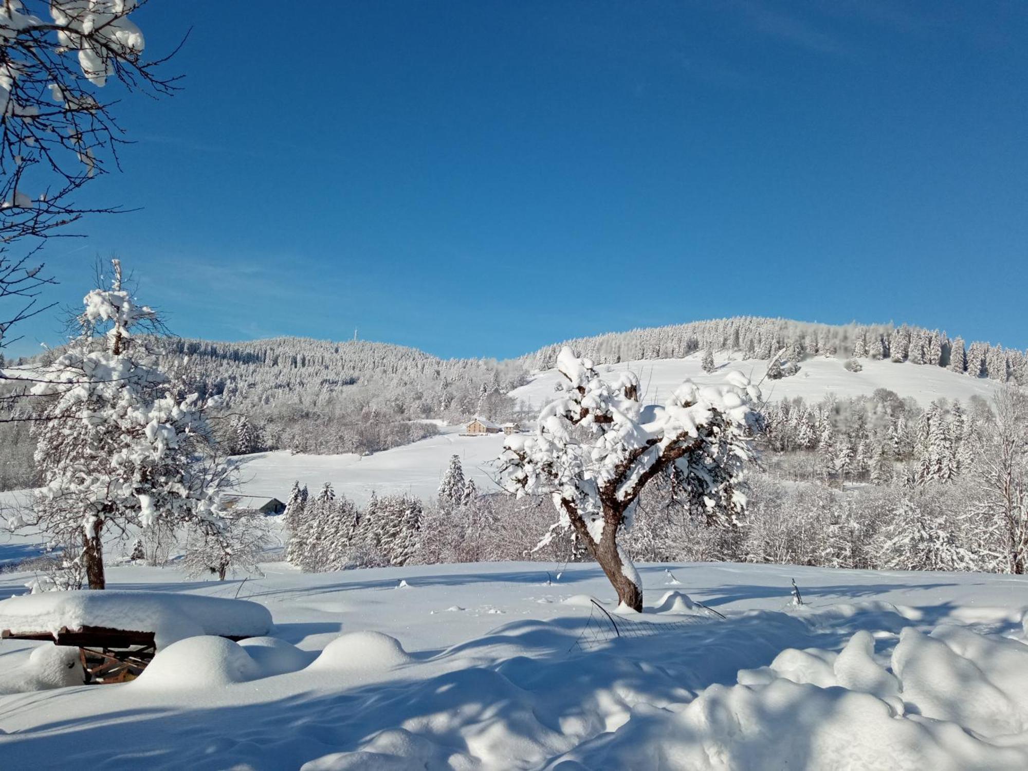 La Ferme De Jean Entre Lacs Et Montagnes Saulxures-sur-Moselotte Dış mekan fotoğraf