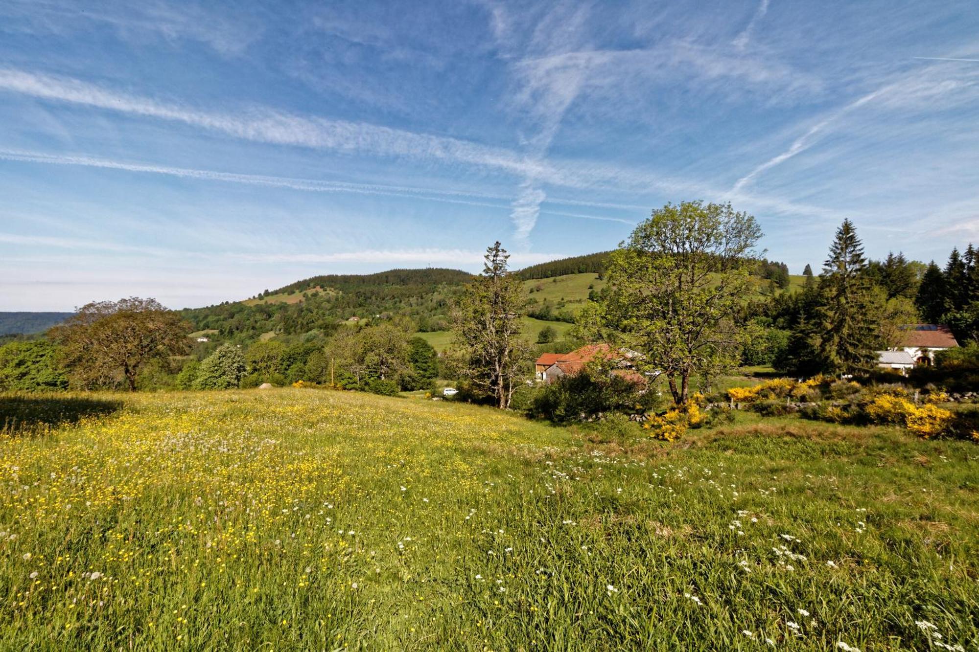 La Ferme De Jean Entre Lacs Et Montagnes Saulxures-sur-Moselotte Dış mekan fotoğraf