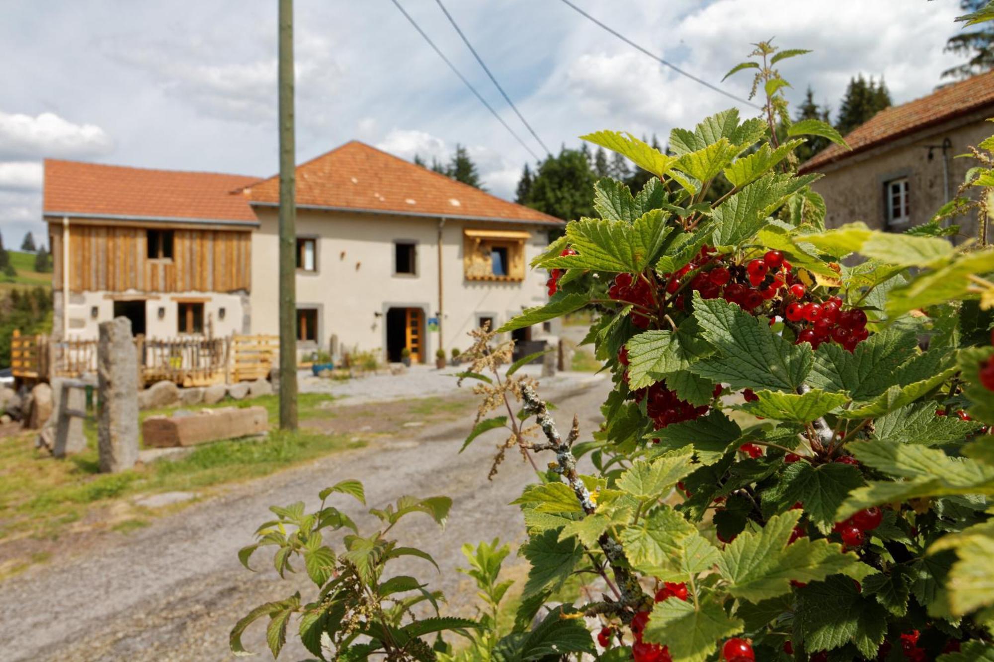 La Ferme De Jean Entre Lacs Et Montagnes Saulxures-sur-Moselotte Dış mekan fotoğraf