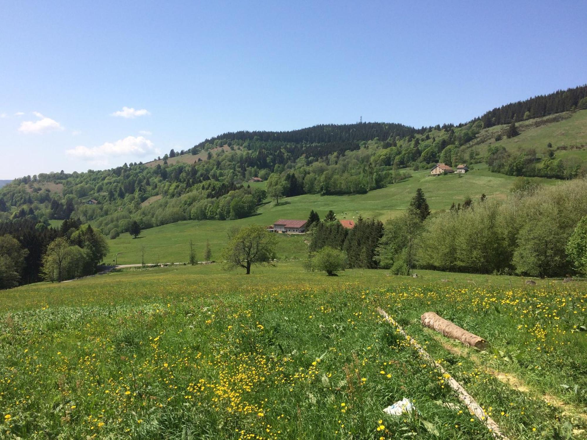 La Ferme De Jean Entre Lacs Et Montagnes Saulxures-sur-Moselotte Dış mekan fotoğraf