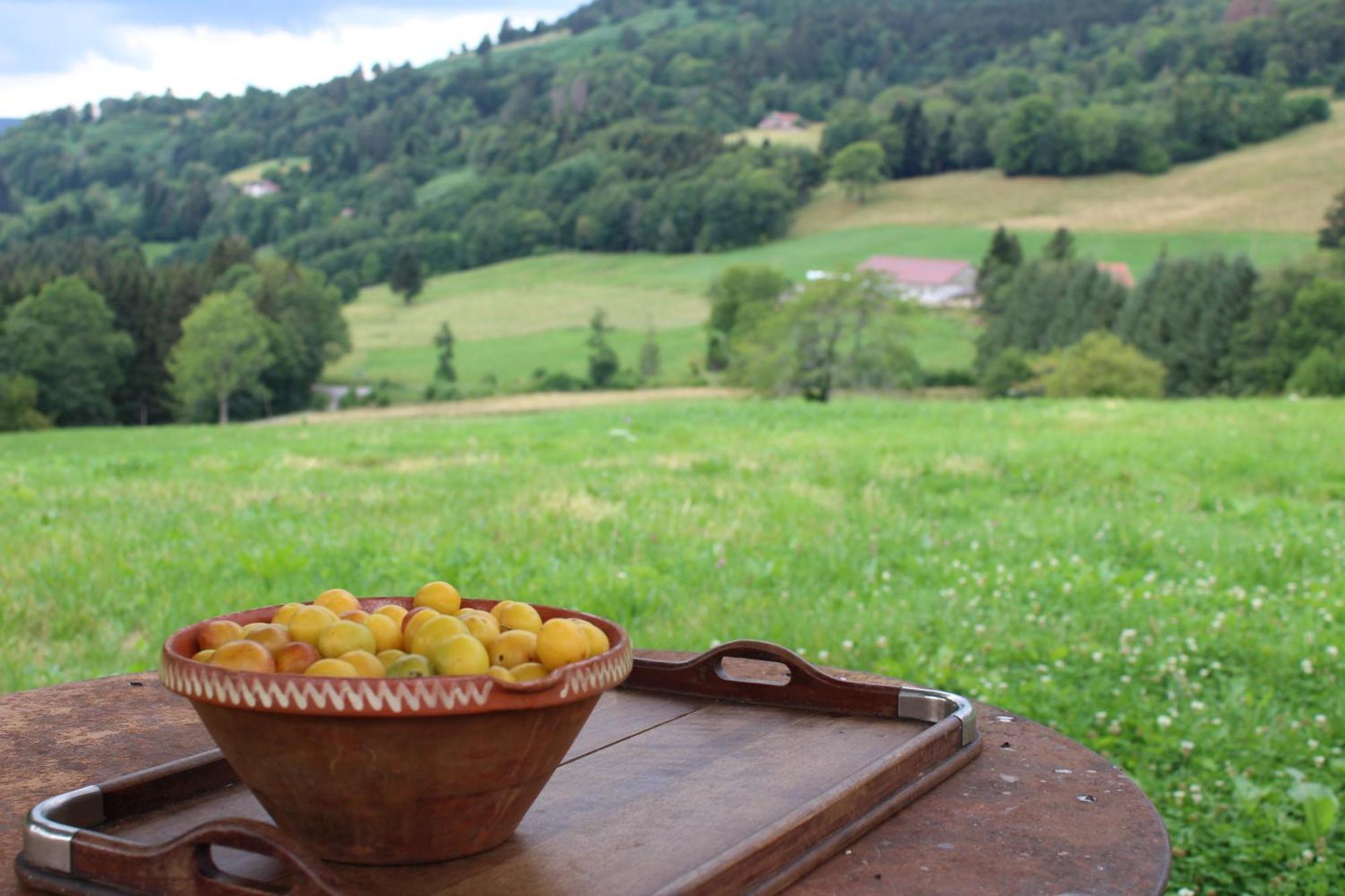La Ferme De Jean Entre Lacs Et Montagnes Saulxures-sur-Moselotte Dış mekan fotoğraf